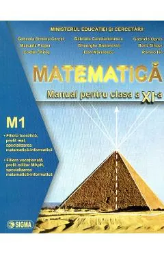 Matematica M1 - Clasa 11 - Manual