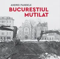 Bucureștiul mutilat - Paperback brosat - Andrei Pandele