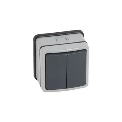 Switch Plexo 66 - 2 module - 2 way - 20 A 250 V~ - gri