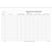 Tipizat - balanta verificare