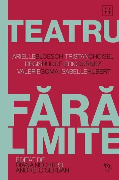 Teatru fără limite - Paperback brosat - Andrei C. Șerban, Diana Nechit
