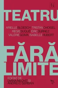 Teatru fără limite - Paperback brosat - Andrei C. Șerban, Diana Nechit