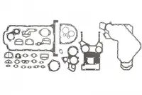 Set garnituri complet motor potrivit BOBCAT 900; CLAAS RANGER; JCB 1000, 500; MASSEY FERGUSON 3000, 6000; MC CORMICK MC; VENIERI 7 1004-4-1004-4TLR