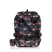 Scaun auto Cosatto Ninja 2 I-Size Pretty Flamingo cu isofix, tetiera reglabila, cotiere, suport pahar, husa lavabila