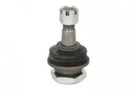 Pivot axa Dreapta Stanga (inferior fata) potrivit NISSAN NAVARA, PICK UP 2.4 2.5D 02.98-