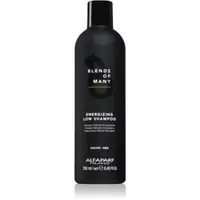 Alfaparf Milano Blends of Many Energizing sampon energizant pentru par fin