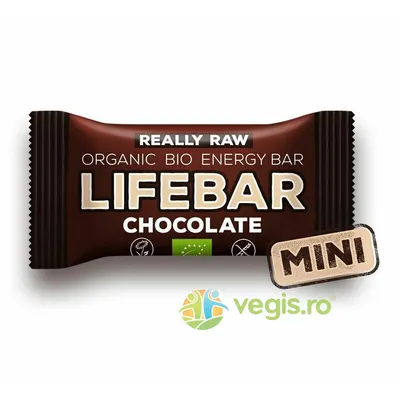 Baton cu Ciocolata Mini Ecologic/Bio 25g