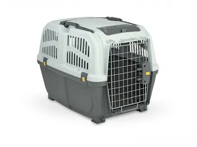 Leopet Cusca Transport Skudo Iata, 60X40X38H