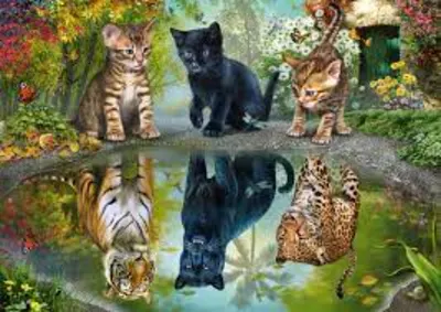 Puzzle 1000 piese - Dream Big