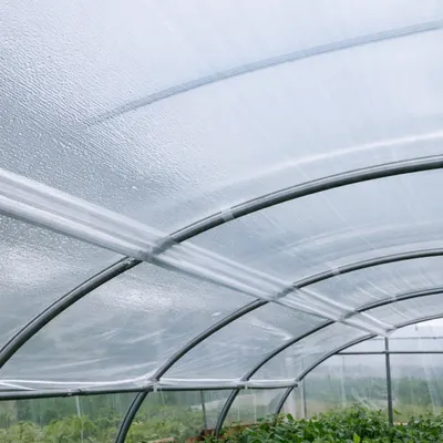 Folie antipicurare 5,5 m - 50 microni