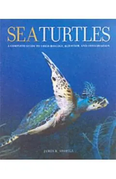 Sea Turtles