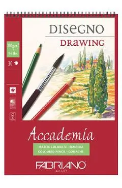 Caiet de schite. Accademia