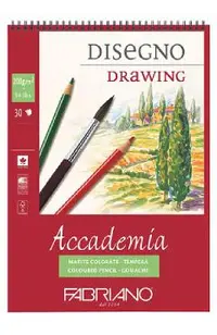 Caiet de schite. Accademia