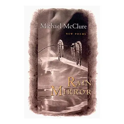 Rain Mirror