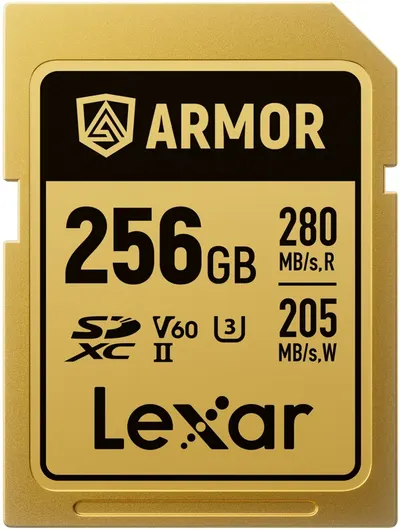 Card de memorie Lexar - Professional Armor Gold, 256GB, UHS-II, C10 V60 U3
