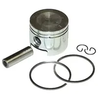 Piston Motocoasa Kawasaki TH 48 - 48mm