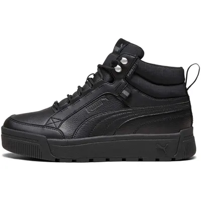 Pantofi sport unisex Puma Tarrenz Sb Iii 39393001