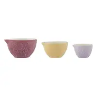 Ustensile de măsurat în bucătărie 3 buc. din ceramică In The Meadow – Mason Cash