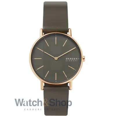 Ceas Skagen Skagen SKW2794