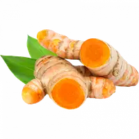 Turmeric radacina Peru Ecologic