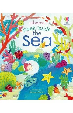 Peek Inside the Sea