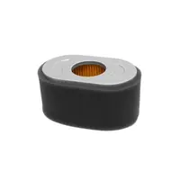 Filtru Aer Briggs - Stratton 797033, 798504