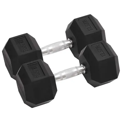 vidaXL Gantere, 2 buc., 12,5 kg, total fontă