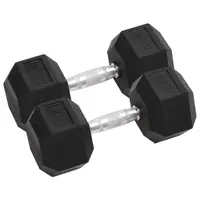 vidaXL Gantere, 2 buc., 12,5 kg, total fontă