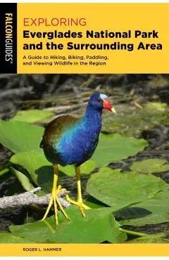 Exploring Everglades National Park and the Surrounding Area: A Guide to Hiking, Biking, Paddling, and Viewing Wildlife in the Region