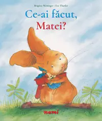 Ce-ai făcut, Matei?