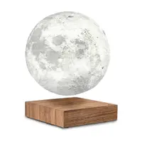 Decorațiune luminoasă maro cu alimentare la priză ø 12 cm Moon – Gingko