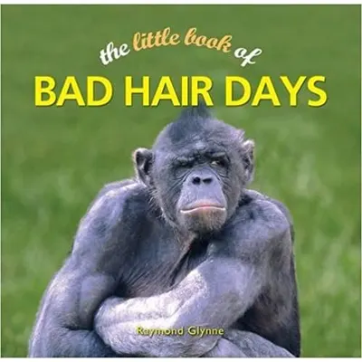 The Little Book of Bad Hair Days