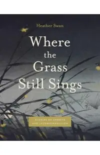 Where the Grass Still Sings: Stories of Insects and Interconnection