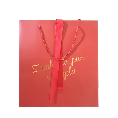 Punga de cadou rosie cu mesaj 33 cm