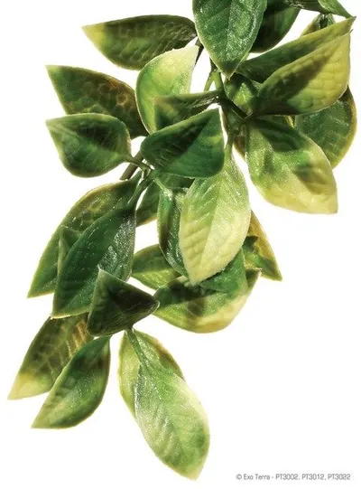 Exo Terra Plante Mandarin L PT3022