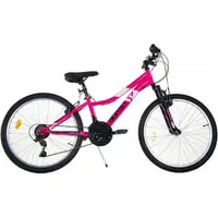 Bicicleta copii 9-12 ani, 24 inch, Mtb Femei Ring Roz, Dino Bikes DB424DS02PI