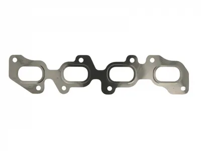 Garnitura galerie evacuare AUDI A4, A6; VW PASSAT 2.0 TDI 08.08