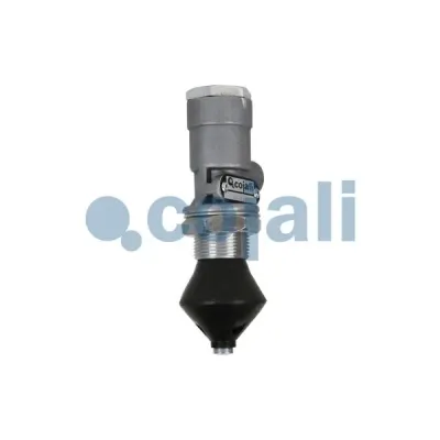 Cojali 2213201
