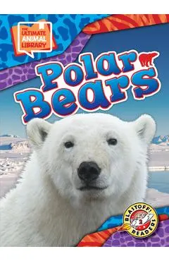 Polar Bears