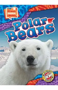 Polar Bears