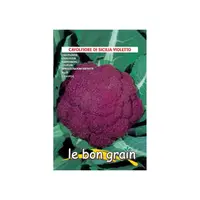 Set 4 x Seminte de Conopida Violet, Di Sicillia, 3 g, Raci Sementi