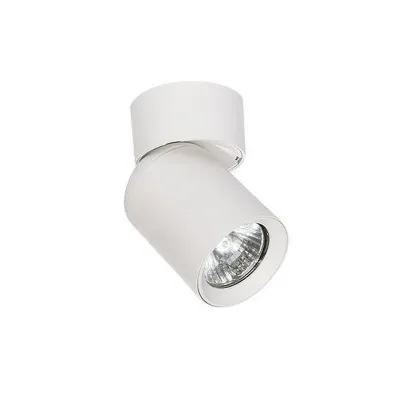 Spot modern Timo, reglabil, 35W, IP20, cadru aluminiu, alb mat