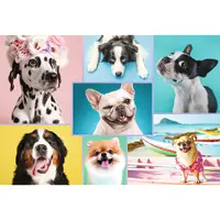 Puzzle 1500 piese - Catelusii Amuzanti