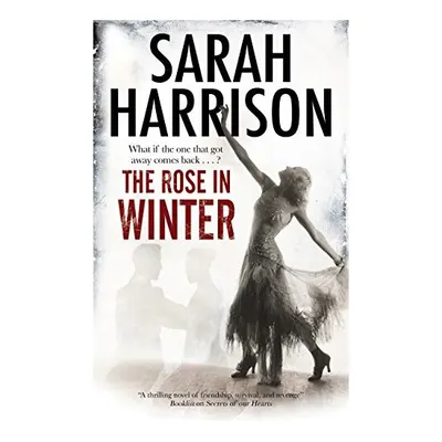 The rose in winter