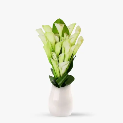 Buchet de 25 cale albe