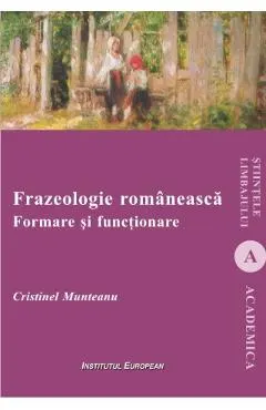 Frazeologie romaneasca. Formare si functionare