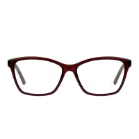 Seen Snff10 Vt 53 Xs
