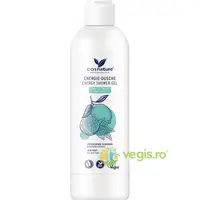 Gel de Dus cu Lime si Menta Energy 250ml