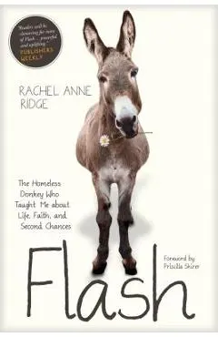 Flash: The Homeless Donkey Who Taught Me about Life, Faith, and Second Chances