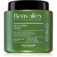 Alfaparf Milano Benvoleo Recovery Masca regeneratoare pentru par deteriorat